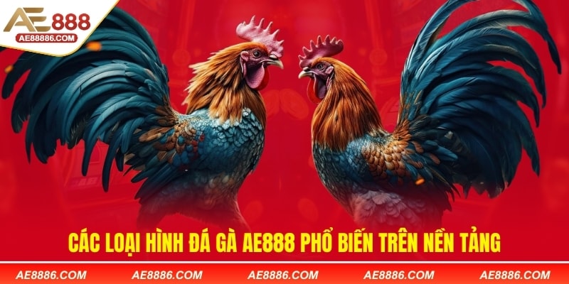 Các loại hình đá gà AE888 phổ biến trên nền tảng