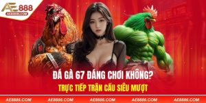 Đá Gà 67 Có Đáng Chơi Không? Trực Tiếp Trận Cầu Siêu Mượt