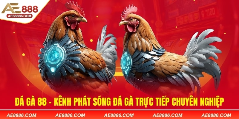Đá gà 88 - Kênh phát sóng đá gà trực tiếp chuyên nghiệp