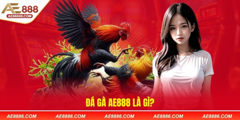 Đá gà AE888 là gì?