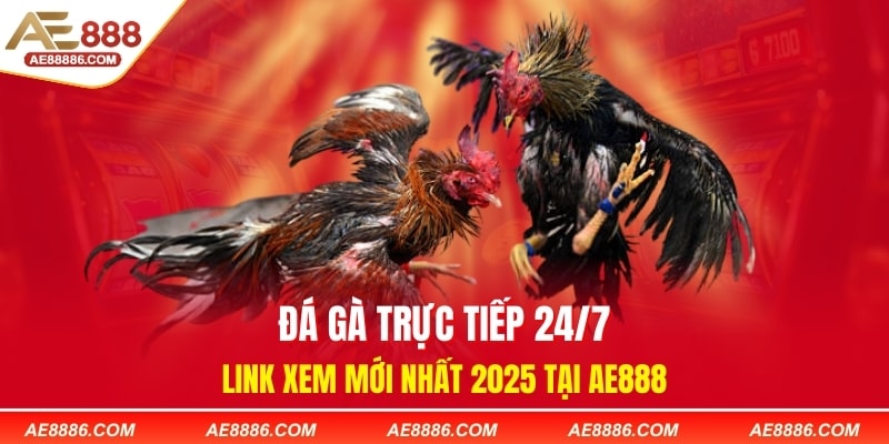 Đá Gà Trực Tiếp 24/7 - Link Xem Mới Nhất 2025 Tại AE888