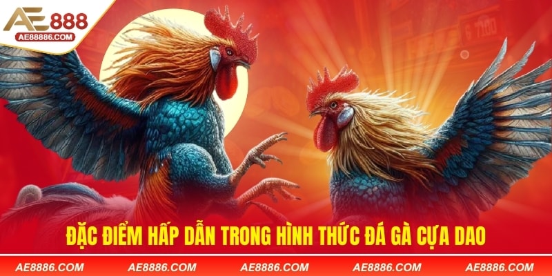 Đặc điểm hấp dẫn trong hình thức đá gà cựa dao
