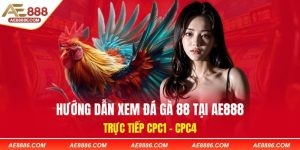 Hướng Dẫn Xem Đá Gà 88 Tại AE888 - Trực tiếp CPC1- CPC4