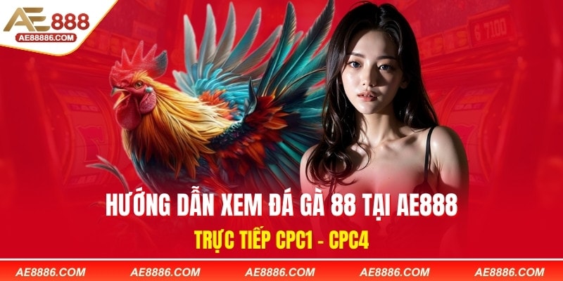 Hướng Dẫn Xem Đá Gà 88 Tại AE888 - Trực tiếp CPC1- CPC4