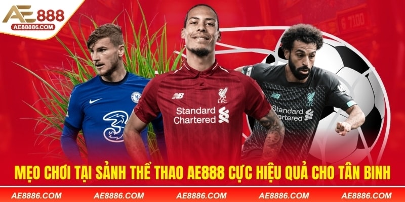 Mẹo chơi tại sảnh thể thao AE888 cực hiệu quả cho tân binh