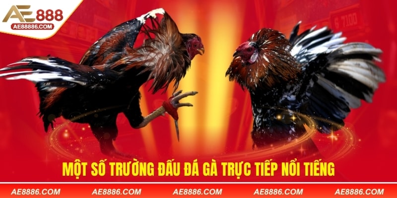 Một số trường đấu đá gà trực tiếp nổi tiếng