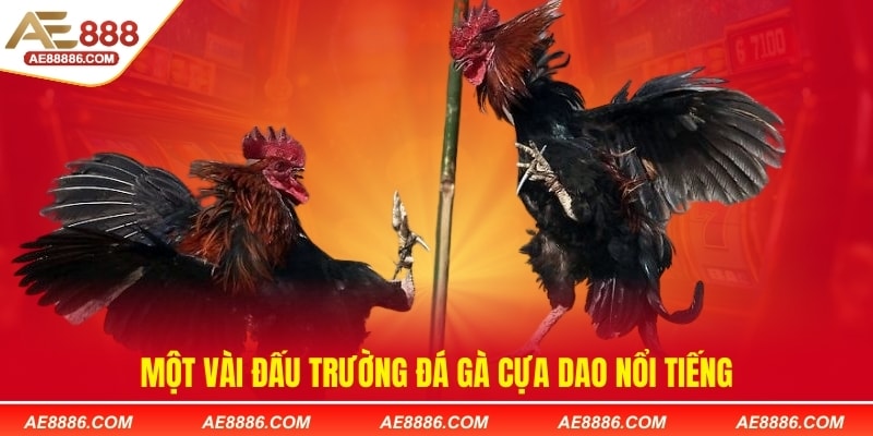 Một vài đấu trường đá gà cựa dao nổi tiếng