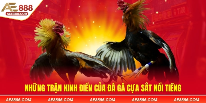 Những trận kinh điển của đá gà cựa sắt nổi tiếng