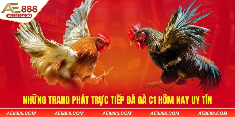 Những trang phát trực tiếp đá gà C1 hôm nay uy tín