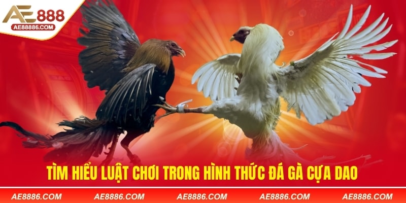 Tìm hiểu luật chơi trong hình thức đá gà cựa dao